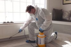 Residential Pest Control Services Mumbai