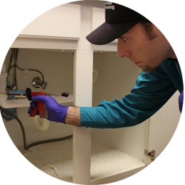 Herbal Pest Control Treatment in Mumbai