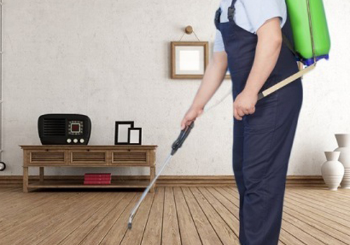 Best Pest Control in Kurla