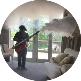 Fogging Control Services in Mumbai