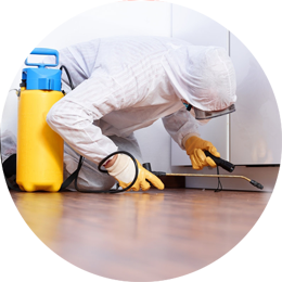 General Disinfection Services in Mumbai