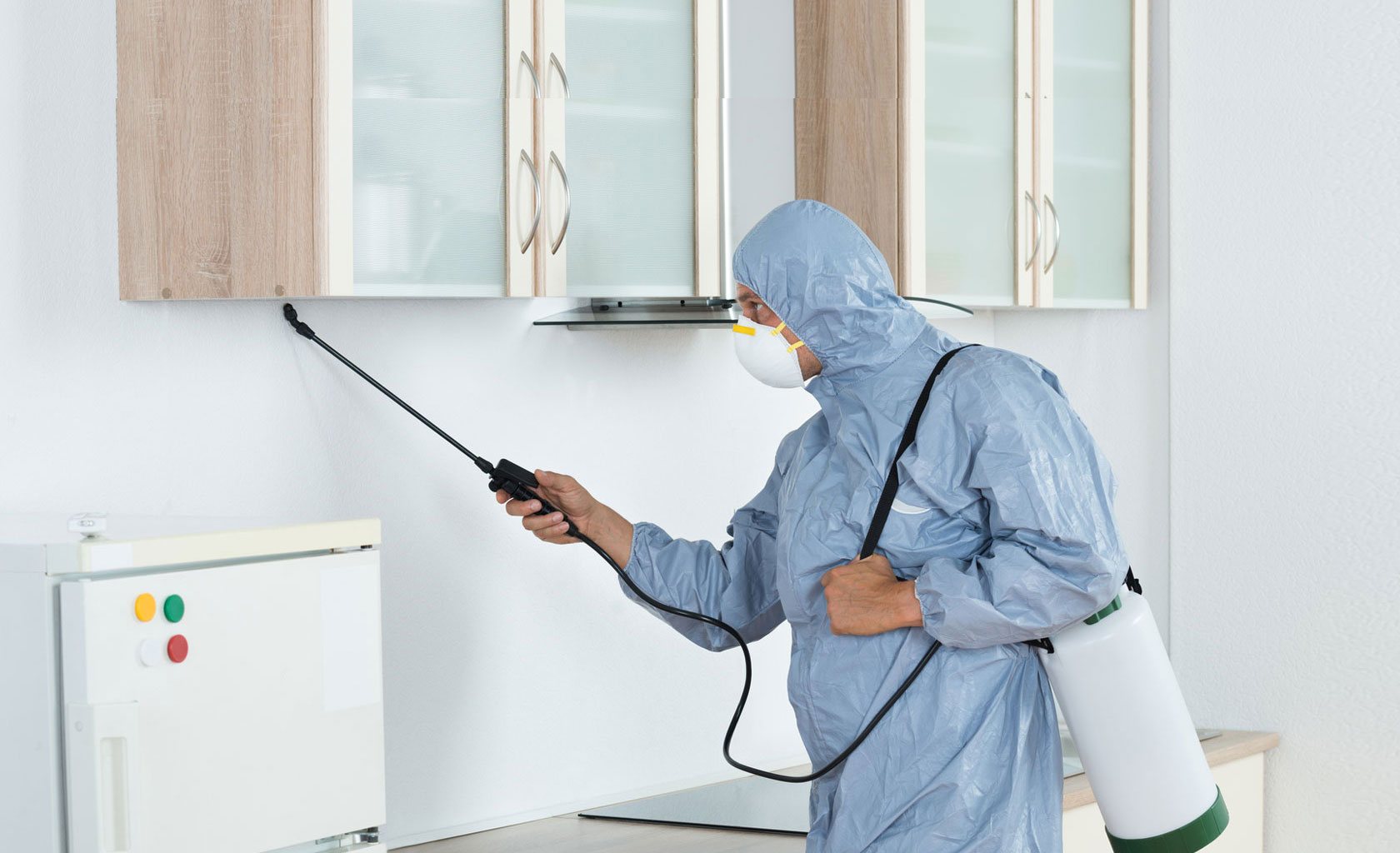 Pest Control Treatment Mumbai